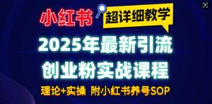 2025年最新小红书引流创业粉实战课程【超详细教学】小白轻松上手，月入1W+，附小红书养号SOP-财虎网络科技