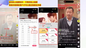 书阳老师·短剧运营变现之路-财虎网络科技