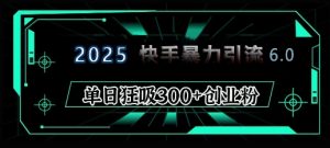 2025年快手6.0保姆级教程震撼来袭，单日狂吸300+精准创业粉-财虎网络科技