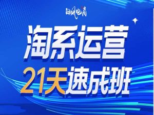 淘系运营21天速成班35期，年前最后一波和2025方向-财虎网络科技