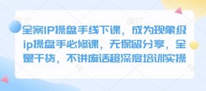 全案IP操盘手线下课，成为现象级ip操盘手必修课，无保留分享，全是干货，不讲废话超深度培训实操-财虎网络科技