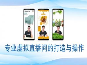 个人虚拟直播间的搭建与操作，专业虚拟直播间的打造与操作-财虎网络科技