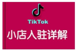 TikTok跨境小店运营全攻略,帮助你独立运营TK跨境小店的能力,实现销量增长-财虎网络科技