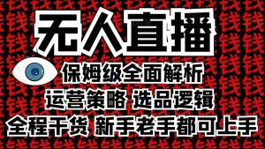 2025无人直播这么做就对了，保姆级全面解析，全程干货，新手老手都可上手-财虎网络科技