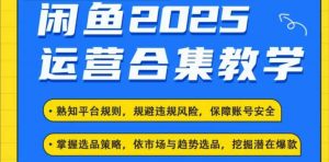 2025闲鱼电商运营全集，2025最新咸鱼玩法-财虎网络科技