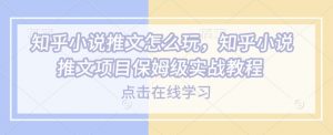 知乎小说推文怎么玩，知乎小说推文项目保姆级实战教程-财虎网络科技