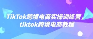 TikTok跨境电商实操训练营,tiktok跨境电商教程-财虎网络科技