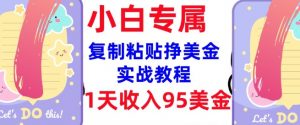 复制粘贴挣美金，0门槛，1天收入95美刀，3分钟学会，内部教程(首次公开)-财虎网络科技