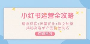 小红书运营全攻略,精准获客+流量优化+软文种草,揭秘高客单产品投放技巧-财虎网络科技