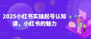 2025小红书实操起号认知课，小红书的魅力-财虎网络科技