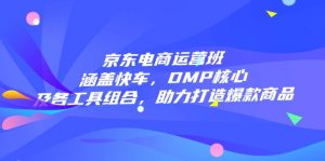 京东电商运营班：涵盖快车，DMP核心及各工具组合，助力打造爆款商品-财虎网络科技