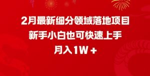 2月最新细分领域落地项目，新手小白也可快速上手，月入1W-财虎网络科技