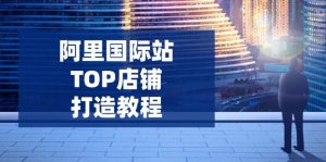 阿里国际站TOP店铺打造教程：涵盖平台到高阶，解决运营难题，提升询盘-财虎网络科技