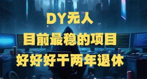 DY无人，目前最稳的项目，矩阵放大边旅游边赚钱，好好好干两年退休-财虎网络科技