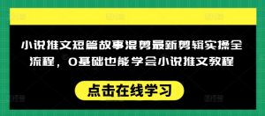 小说推文短篇故事混剪最新剪辑实操全流程，0基础也能学会小说推文教程，肯干多发日入多张-财虎网络科技