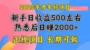 2025开年好项目，单号日收益2000左右-财虎网络科技