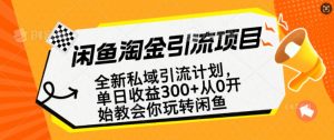 闲鱼淘金私域引流计划，从0开始玩转闲鱼，副业也可以挣到全职的工资-财虎网络科技