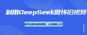 利用DeepSeek做怀旧视频，流量号多渠道变现能力强-财虎网络科技