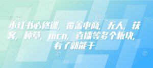 小红书必修课,覆盖电商,无人,获客,种草,mcn,直播等多个板块,看了就能干-财虎网络科技