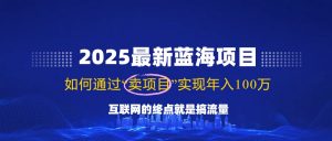 2025最新蓝海项目，零门槛轻松复制，月入10万+，新手也能操作！-财虎网络科技