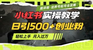 2月小红书最新日引500+创业粉实操教学【超详细】小白轻松上手，月入1W+，附小红书养号起号SOP-财虎网络科技