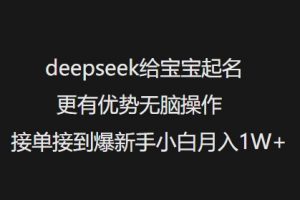 deepseek给宝宝起名更有优势无脑操作接单接到爆新手小白月入1W+-财虎网络科技