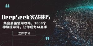 DeepSeek实战技巧：集合最强使用攻略，1000个神级提示词，让你成为AI高手-财虎网络科技