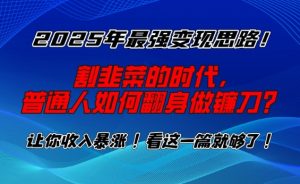 2025年最强变现思路，割韭菜的时代， 普通人如何翻身做镰刀？【揭秘】-财虎网络科技