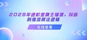 2025年进阶金牌主播课，抖音的推流算法逻辑-财虎网络科技