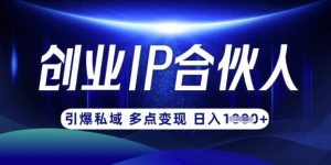 云帆·创业ip合伙人打造3.0，从0到1教你做网创，实现月入过W-财虎网络科技