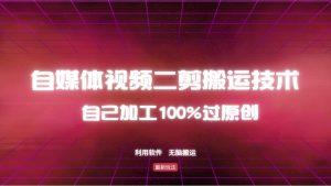 详细教你自媒体视频二剪搬运技术,自己加工100%过原创,无脑搬运-财虎网络科技