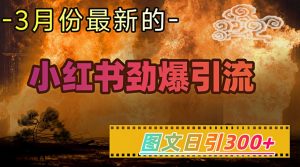 小红书超劲爆引流手段，图文日引300+轻松变现1W-财虎网络科技