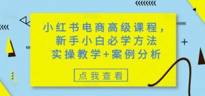 小红书电商高级课程,新手小白必学方法,实操教学+案例分析-财虎网络科技
