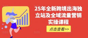 25年全新跨境出海独立站及全域流量营销实操课程，跨境电商独立站TIKTOK全域营销普货特货玩法大全-财虎网络科技