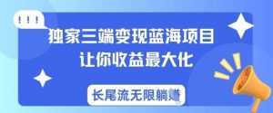 独家三端变现蓝海项目,让你收益最大化,长尾流无限躺挣-财虎网络科技