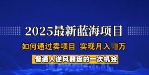 2025蓝海项目，普通人如何通过卖项目，实现月入过W，全过程【揭秘】-财虎网络科技