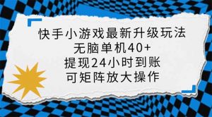 快手小游戏最新版升级玩法，新风口，无脑单机日入40+，可批量放大，小...-财虎网络科技