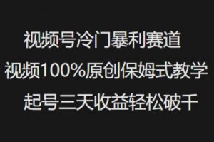 视频号冷门暴利赛道视频100%原创保姆式教学起号三天收益轻松破千-财虎网络科技