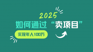 2025年如何通过“卖项目”实现年入100w-财虎网络科技