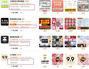 0成本虚拟项目实战手把手教你落地，单店月入5k-财虎网络科技