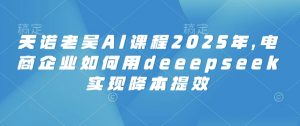 天诺老吴AI课程2025年，电商企业如何用deeepseek实现降本提效-财虎网络科技