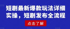 短剧最新爆款玩法详细实操，短剧发布全流程-财虎网络科技