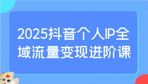 2025抖音个人IP全域流量变现进阶课：选爆品、抖音付费投流、千川投流实操及优化等-财虎网络科技