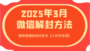 2025年3月微信解封方法 最新跳辅助核对技术【小伙伴亲测】-财虎网络科技