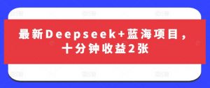 最新Deepseek+蓝海项目，十分钟收益2张-财虎网络科技