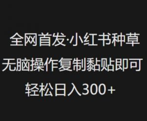 全网首发，小红书种草无脑操作，复制黏贴即可，轻松日入3张-财虎网络科技