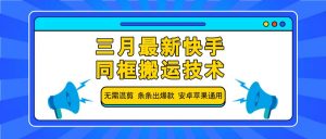 三月最新快手同框搬运技术，无需混剪 条条出爆款 安卓苹果通用-财虎网络科技