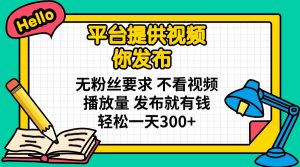 平台提供视频 你发布 无粉丝要求 不看视频播放量 发布就有钱 轻松一天300+-财虎网络科技
