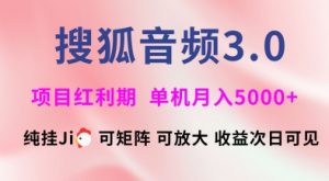 搜狐音频挂ji3.0.可矩阵可放大，独家技术，稳定月入5000+【揭秘】-财虎网络科技