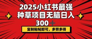 2025小红书最强种草项目，无脑日入300+，复制粘帖即可，多劳多得-财虎网络科技